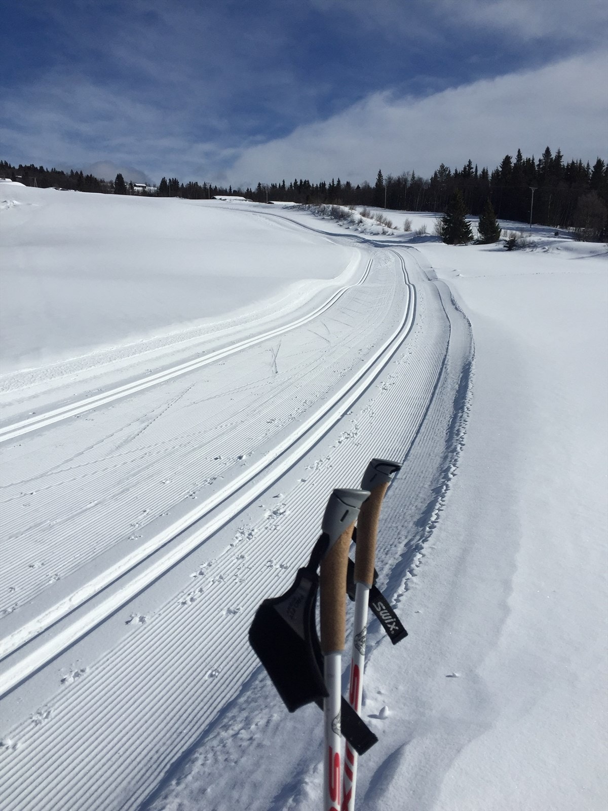 Langrennsløyper i området, med tilgang til et variert og preparert løypenett. Foto: Selger. Galleribilde
