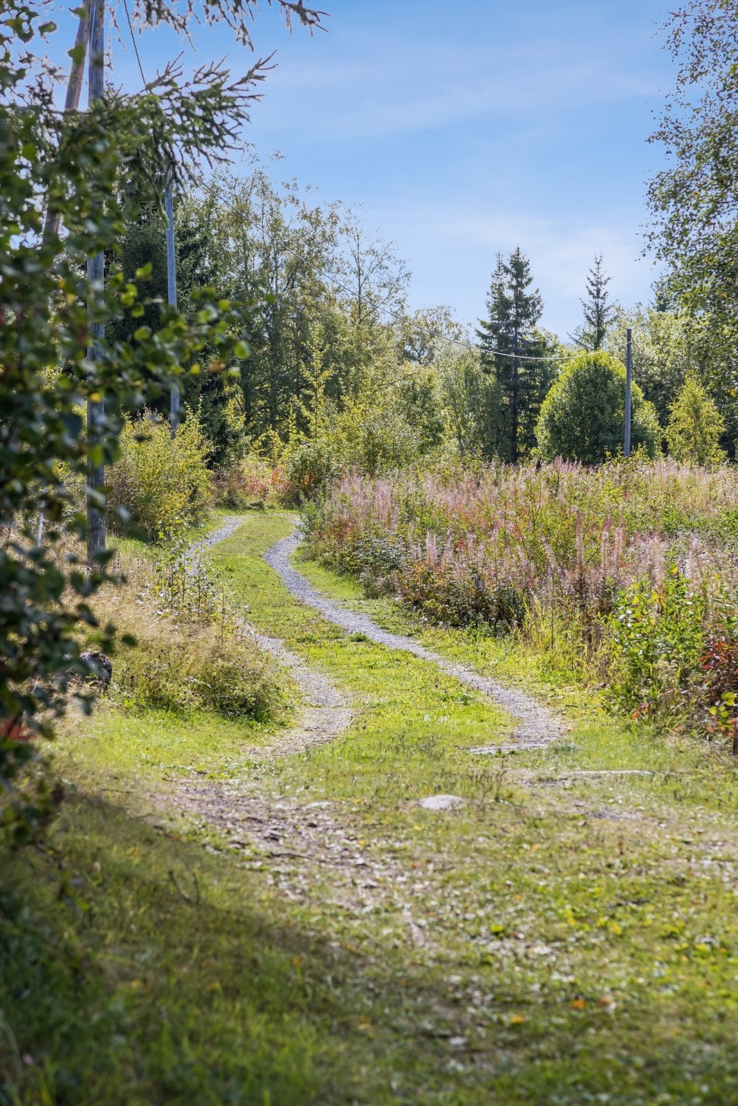Eiendommen ligger i et naturskjønt område med umiddelbar nærhet til turstier og skogsterreng. Galleribilde