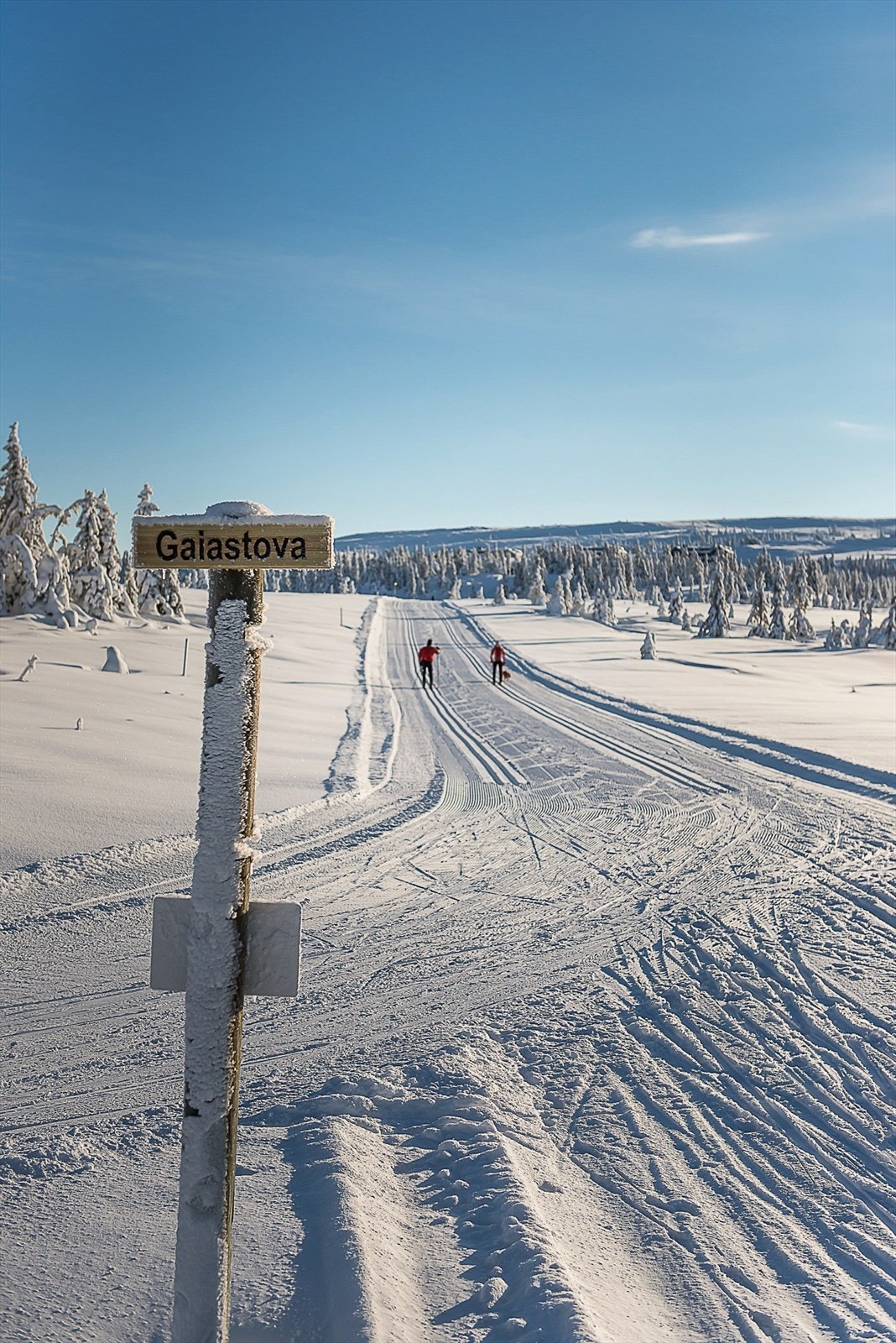 Milevis med velpreparerte langrennsløyper med utgangspunkt like ved Gaiastova. Galleribilde
