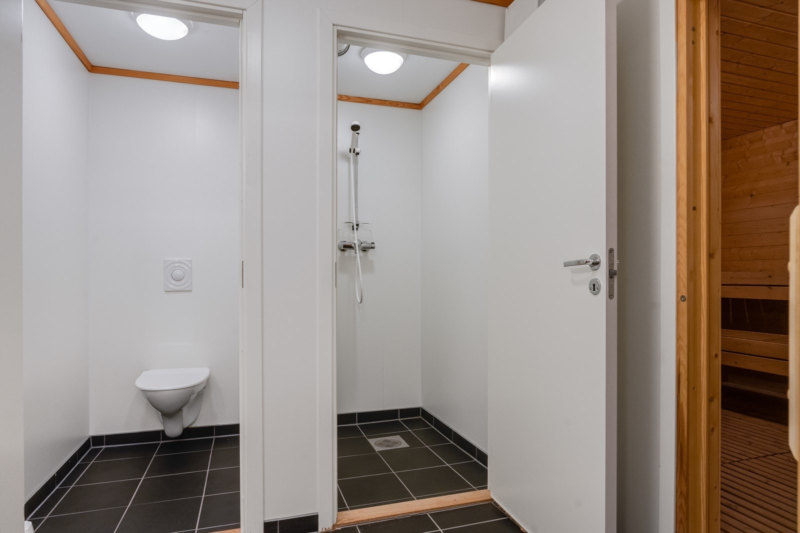 I fellesarealene finnes det dusj og toalett i tilknytning til badstuen. Galleribilde