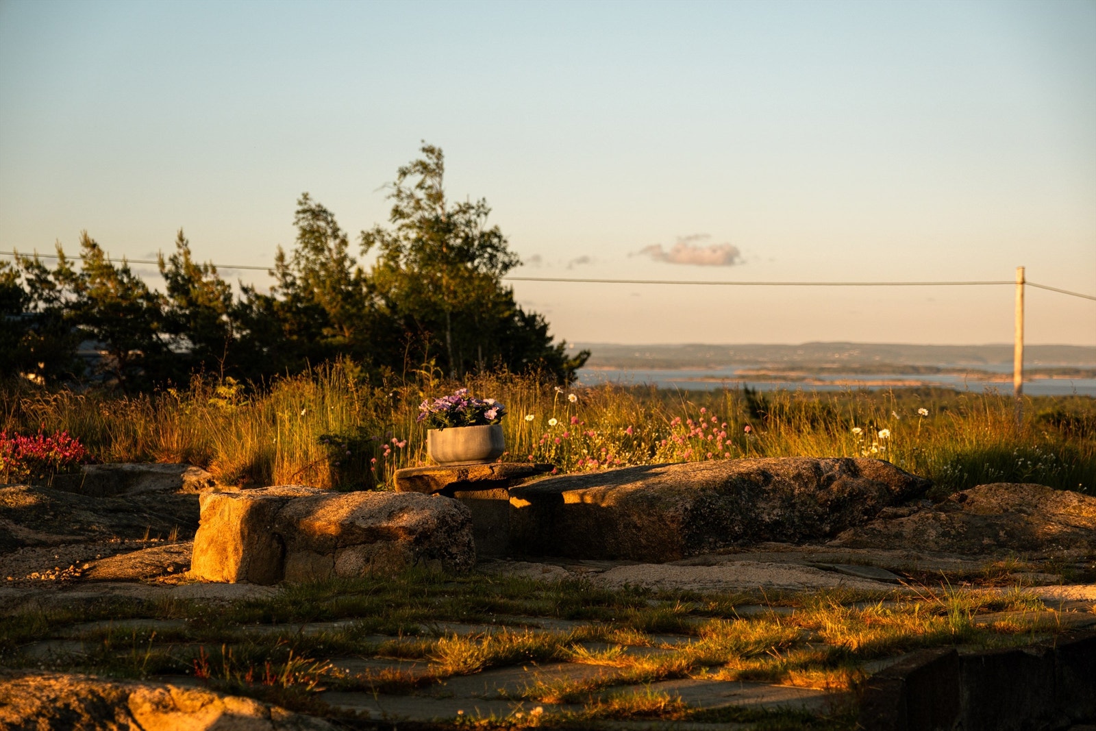 Naturtomten byr på lune sitteplasser, vakker beplantning og utsyn mot sjøen i horisonten. Galleribilde
