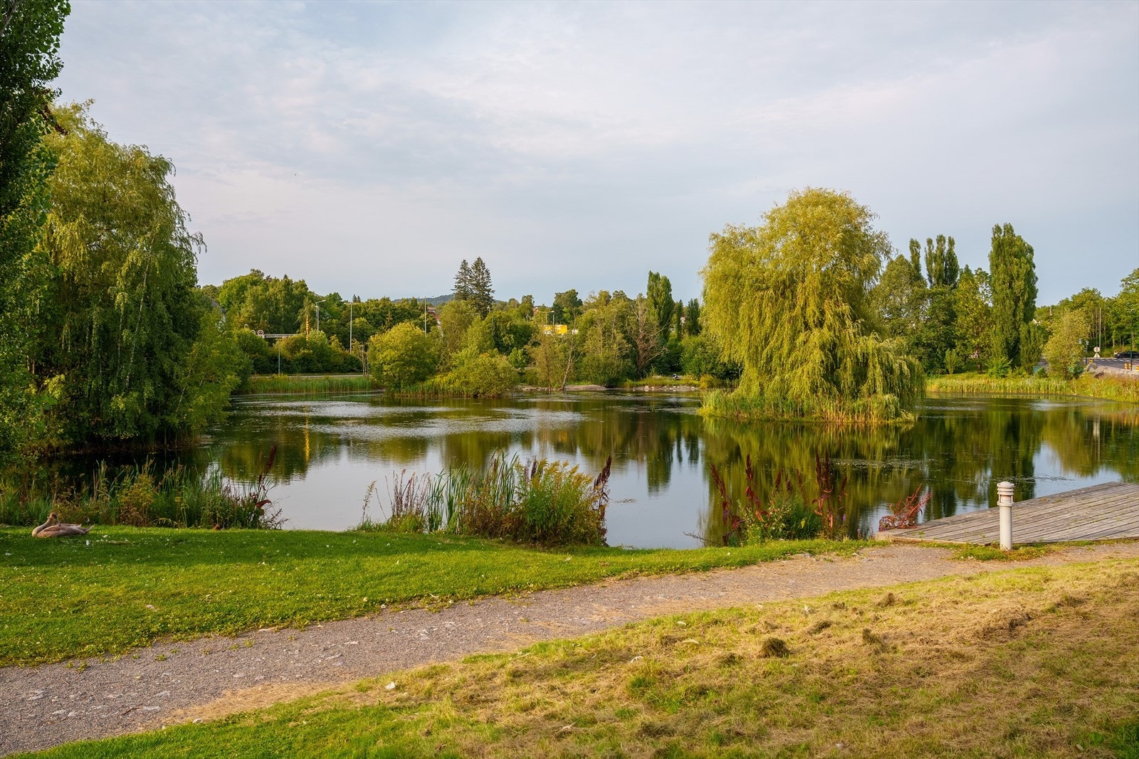Foto fra Smestaddammen. Galleribilde