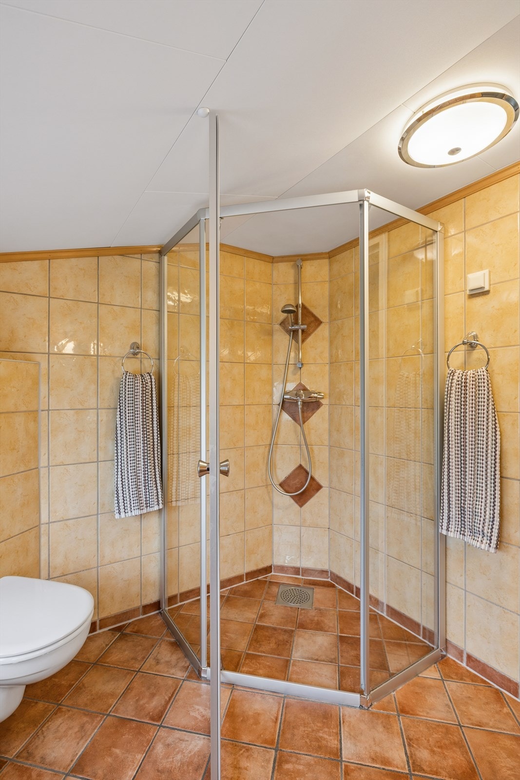 Badet er utstyrt med, dusjvegger og vegghengt toalett. Galleribilde