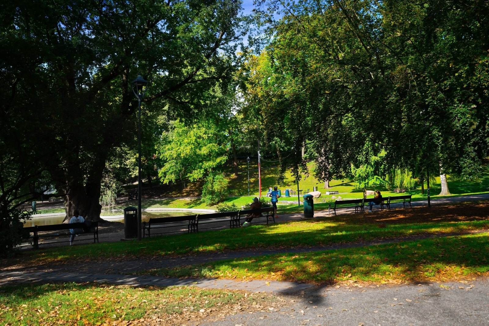 Parken på St.Hanshaugen ligger i umiddelbar nærhet. Galleribilde
