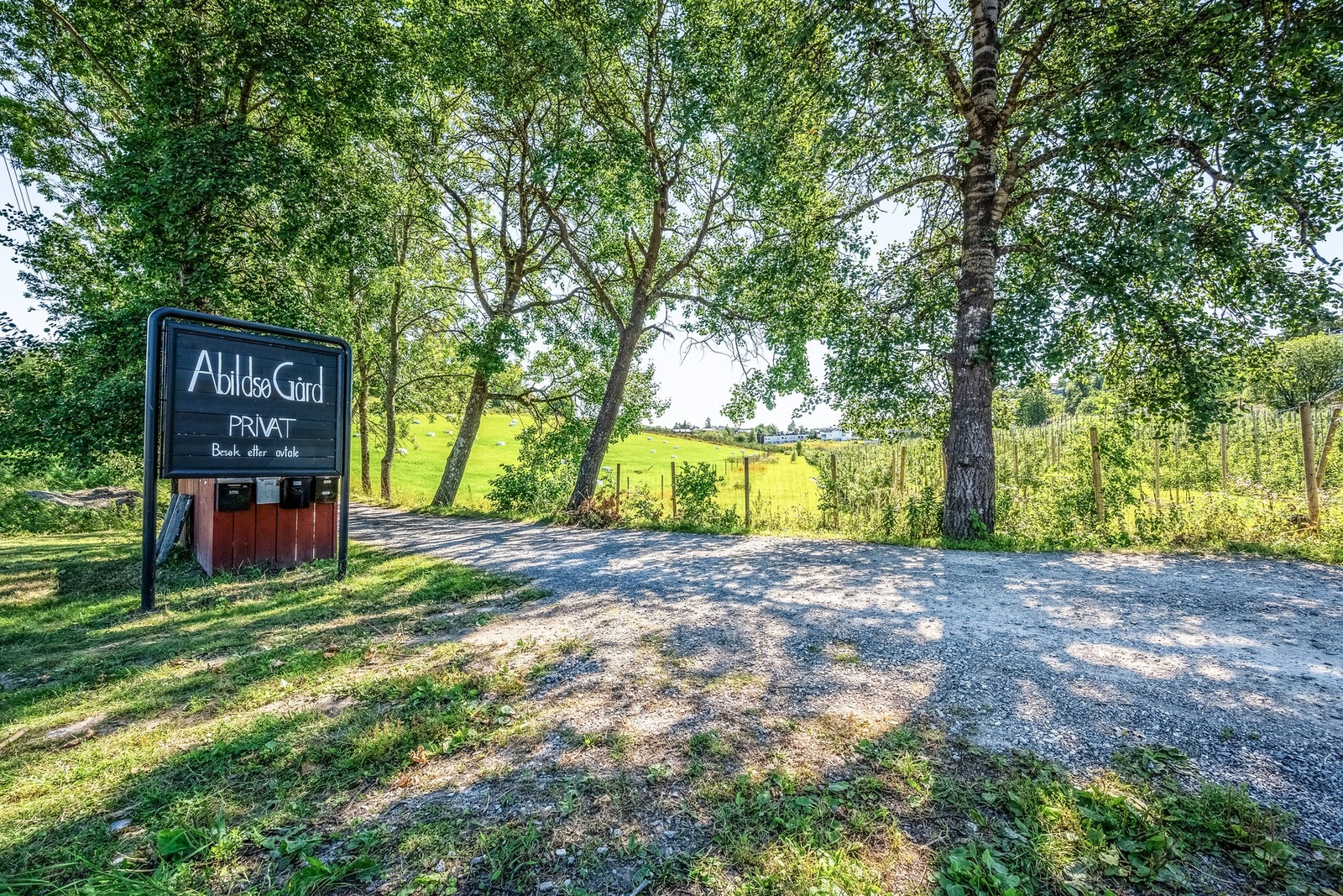 Abildsø gård er en lokal perle, til glede for både store og små. Galleribilde