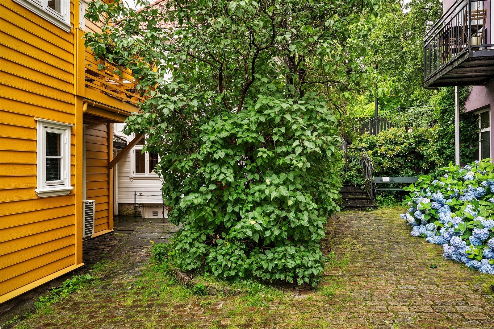 Hyggelig og frodig fellesareal i et bilfritt smau. Galleribilde