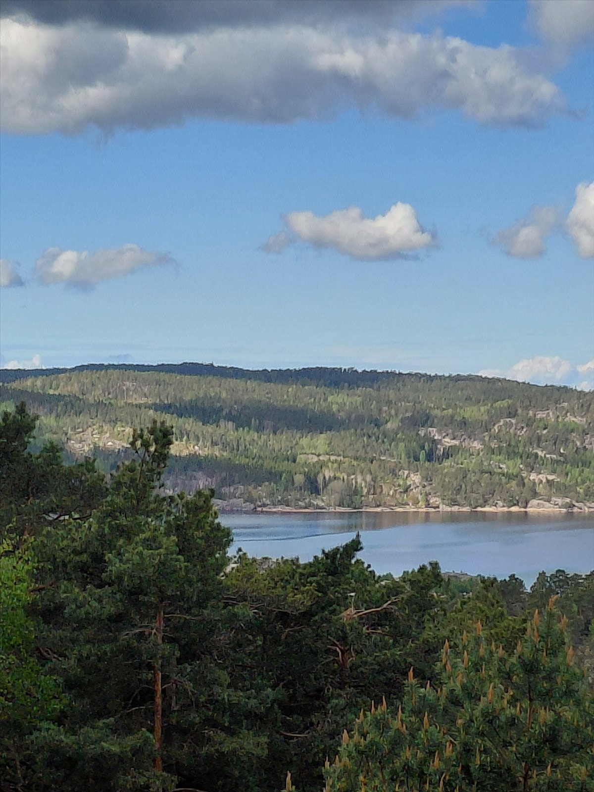 Privat bilde Galleribilde