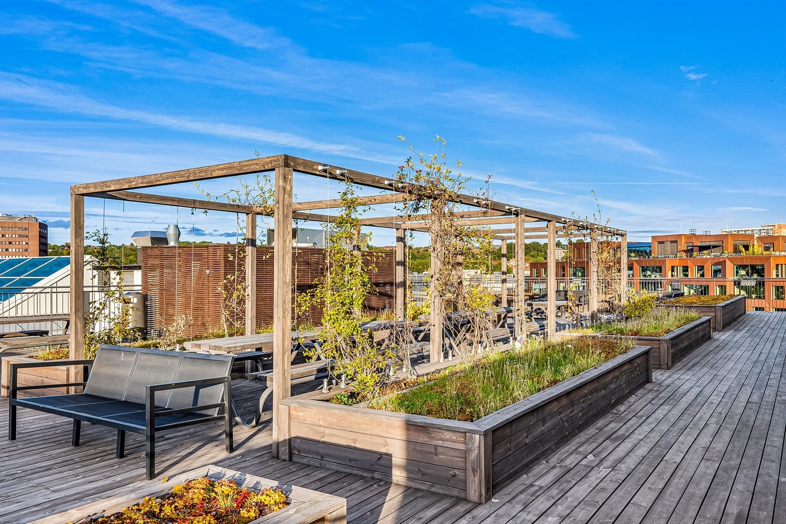 Stor, felles takterrasse som er en av Oslos største felles takterrasser på ca 700 kvm Galleribilde