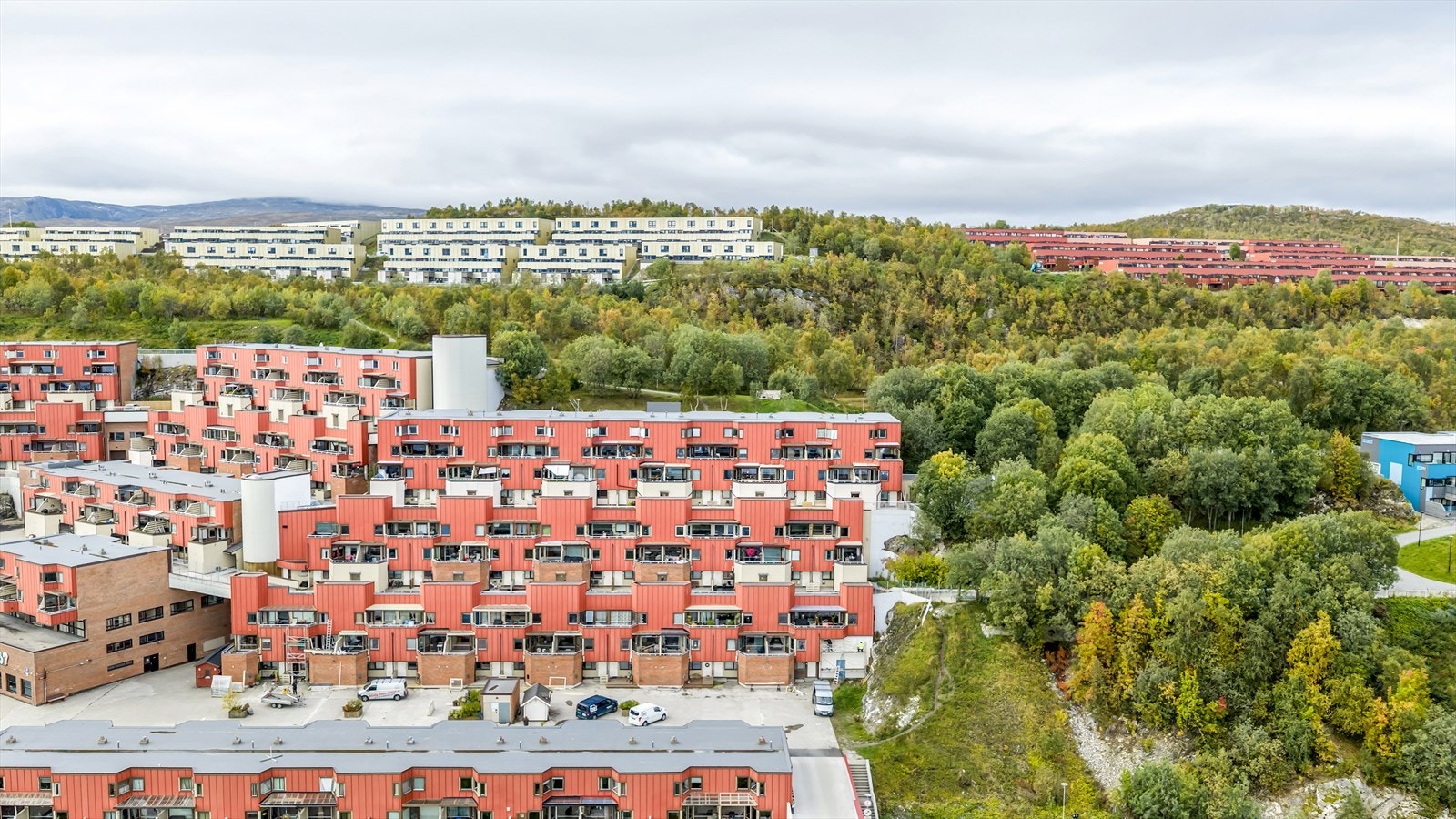 Velkommen til visning! Galleribilde
