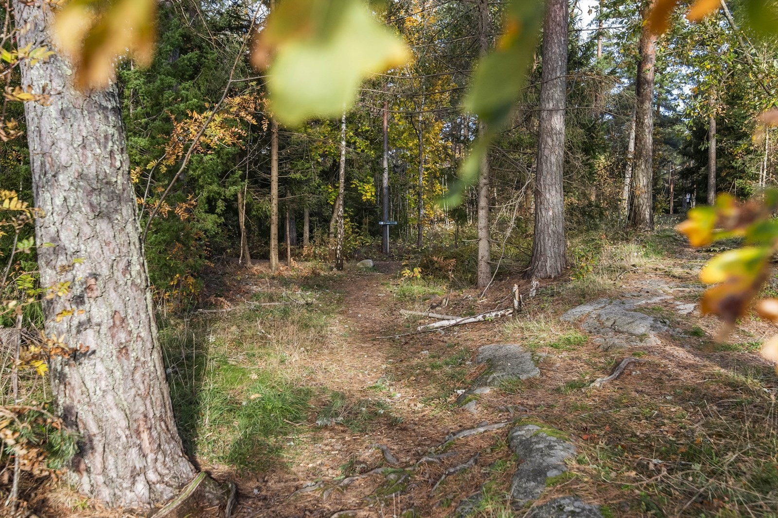 Nærområdet byr på gode turmuligheter i omkringliggende skogsområder og langs kysten. Her finnes flere turstier og rekreasjonsområder som egner seg godt til gåturer, løpeturer og sykkelturer. Galleribilde