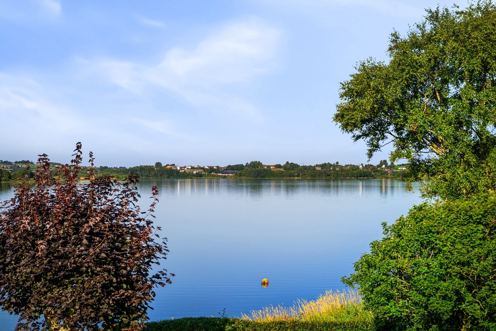 Nærhet til naturen med skog og mark like i nærheten. Galleribilde