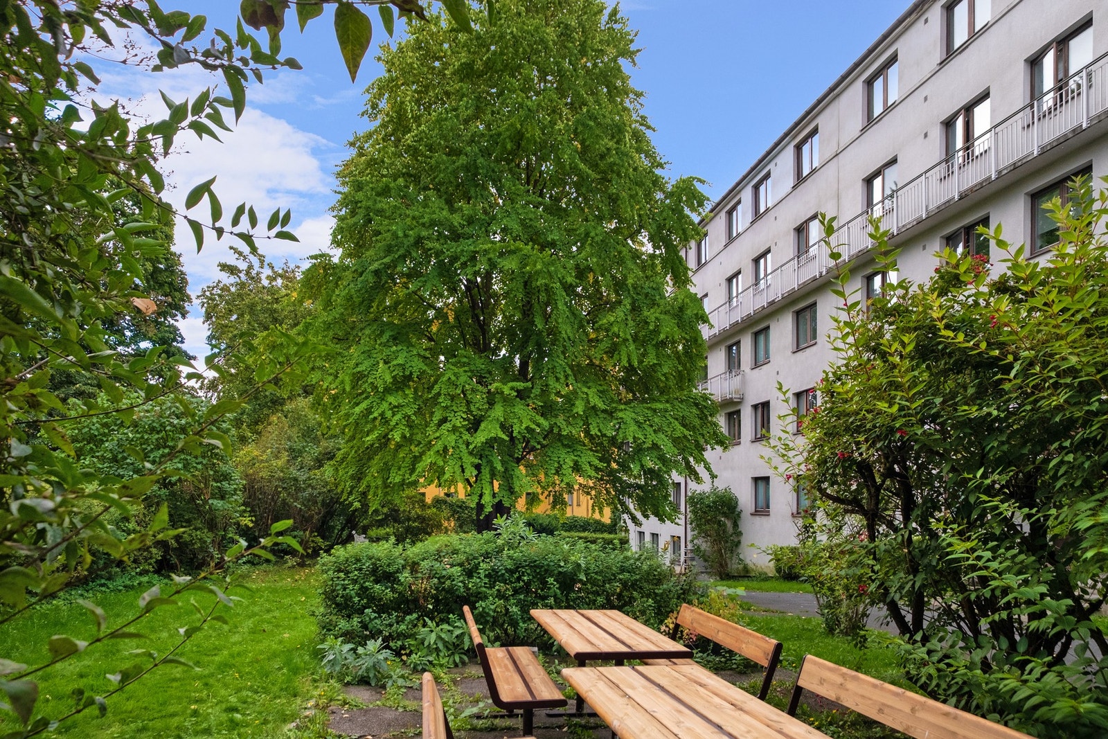 Her har du barnevennlige og parkmessig opparbeidet gårdsrom med beplantning. Galleribilde