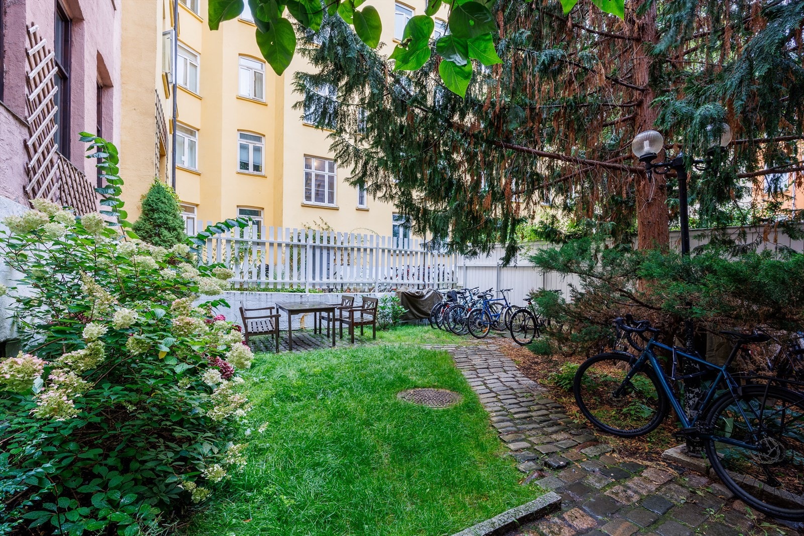 Grønn og pent opparbeidet bakgård med plen og beplantning Galleribilde
