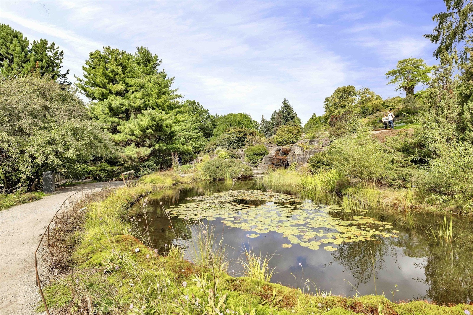 I tillegg til å bo i hovedstadens sentrum er det kort vei til flotte tur og rekreasjonsområder som Botanisk hage beliggende rett over gaten Galleribilde