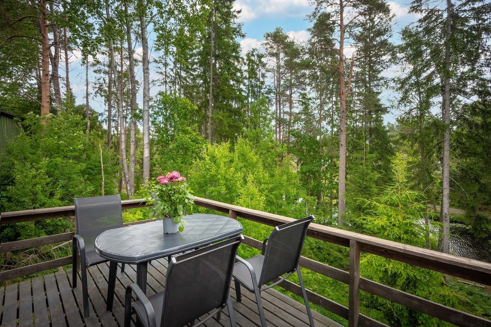 Tomten grenser til Damåstjernet som forsyner eiendommen med vann til hagen Galleribilde