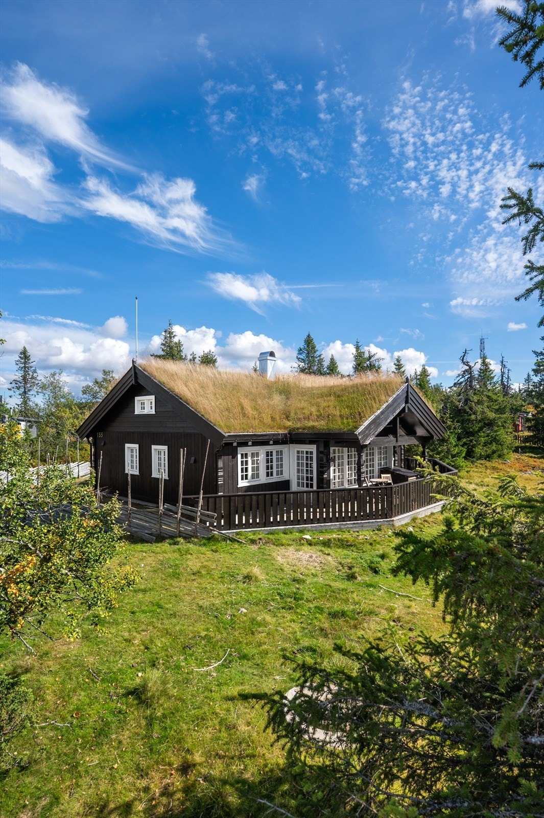Velkommen til visning! Galleribilde