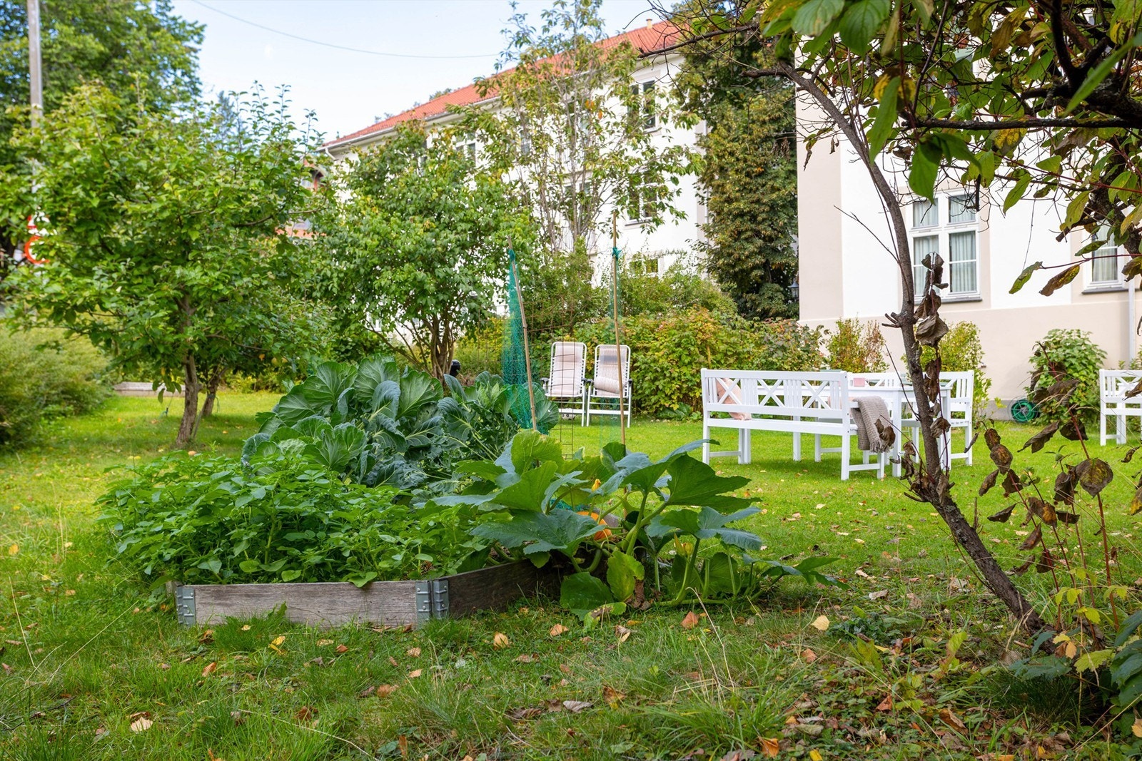 Frodige fellesarealer med blomstrende beplantning og grønne busker og trær, en liten oase midt i byen. Galleribilde
