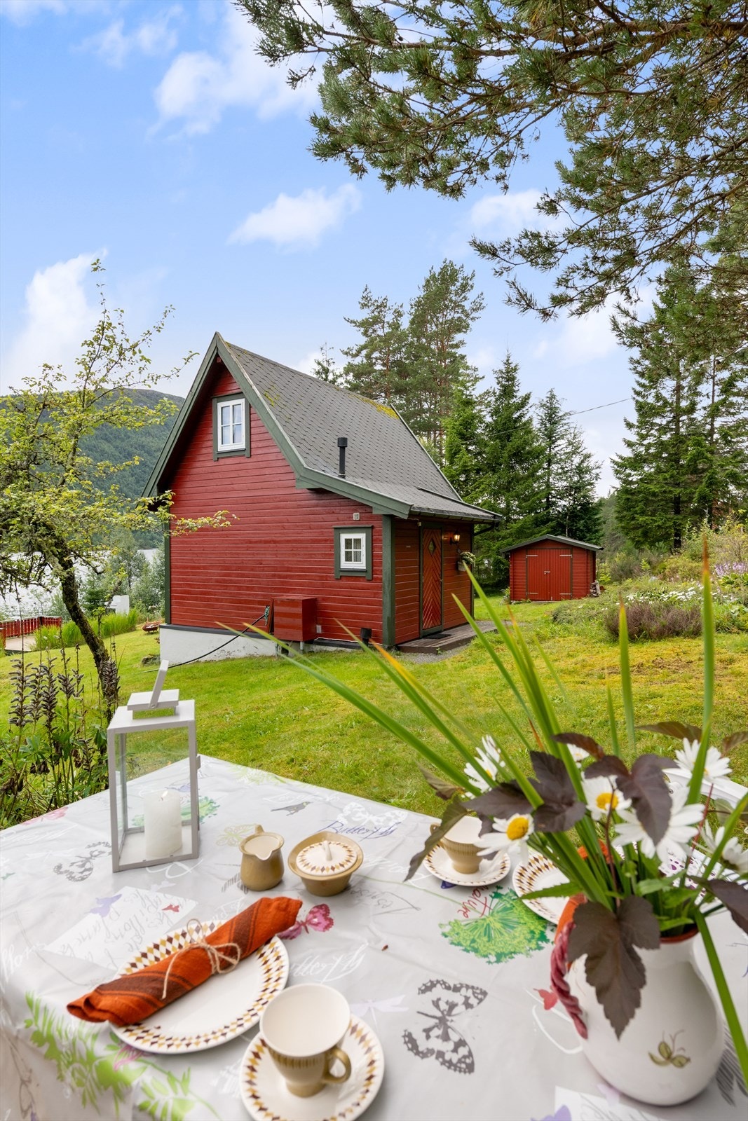 Uteplass med utsikt mot hytta og uthuset. Galleribilde