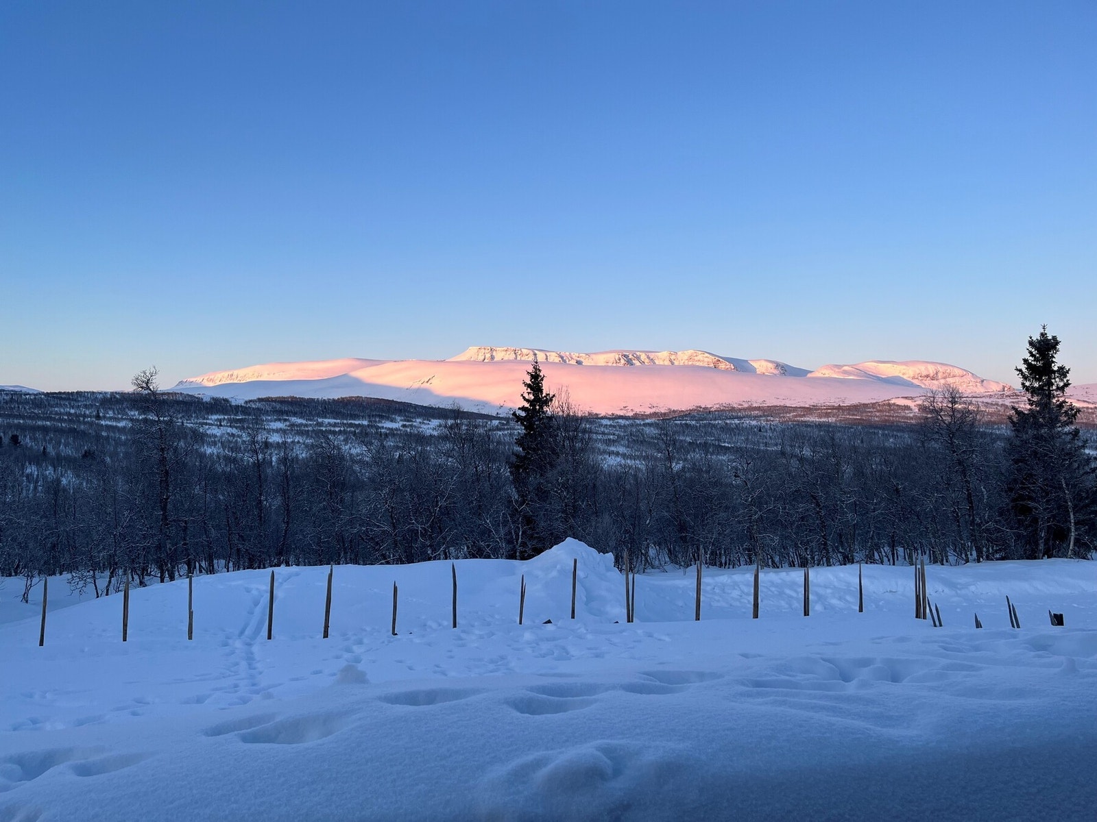Morgenstemning. Bilde fra selgers arkiv. Galleribilde