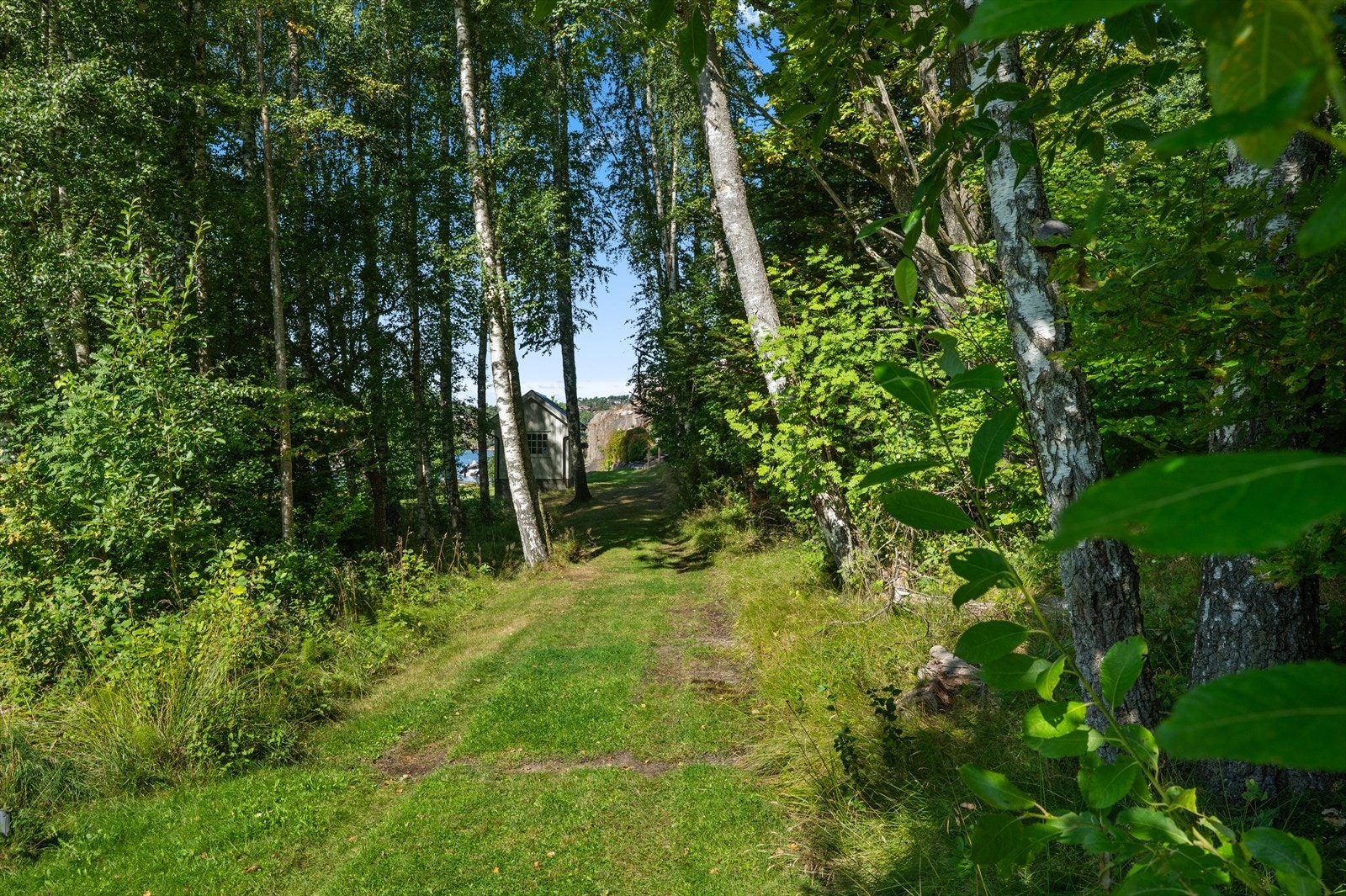 På vei til hytta Galleribilde