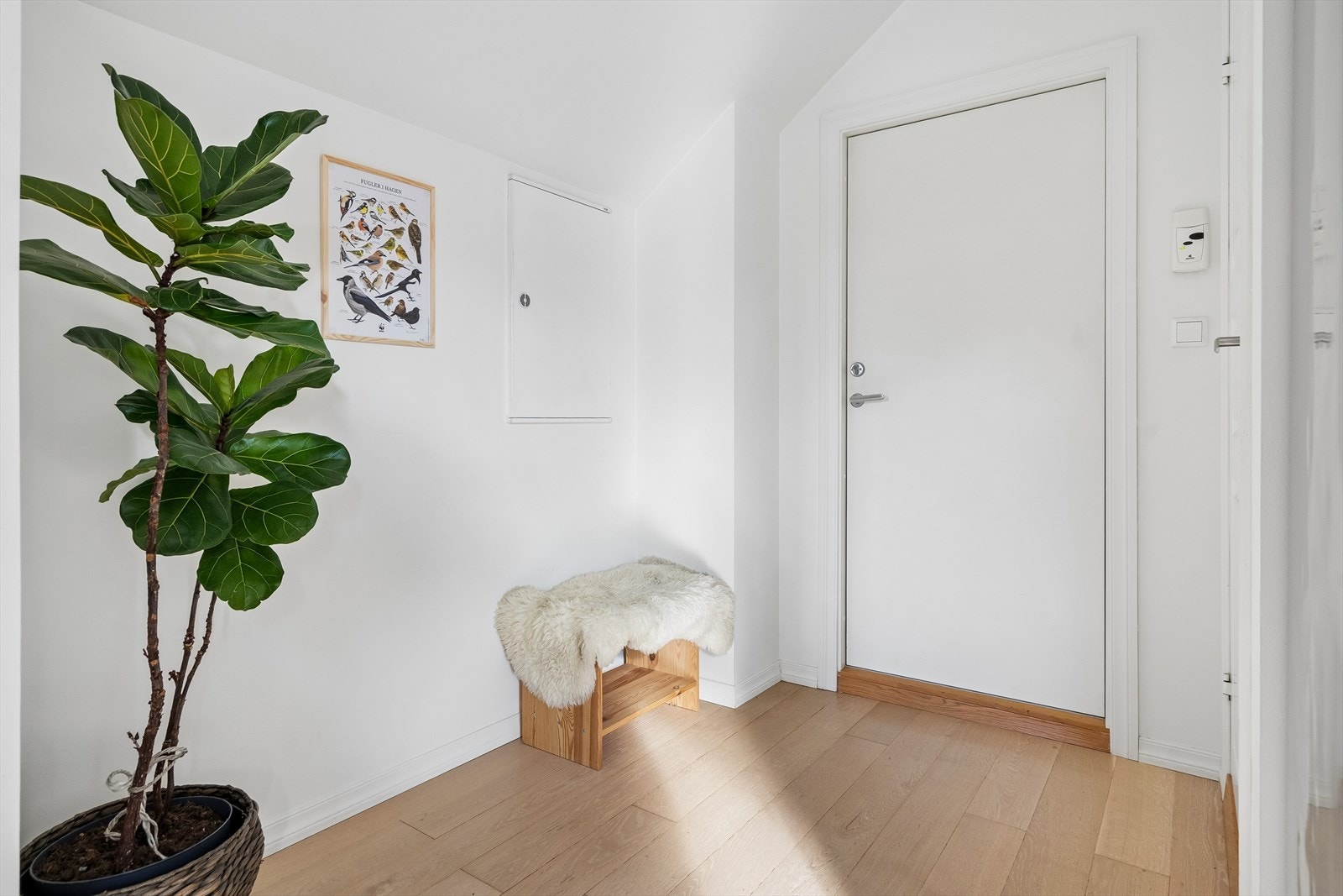 Entré med parkett på gulv og malte veggflater. Galleribilde