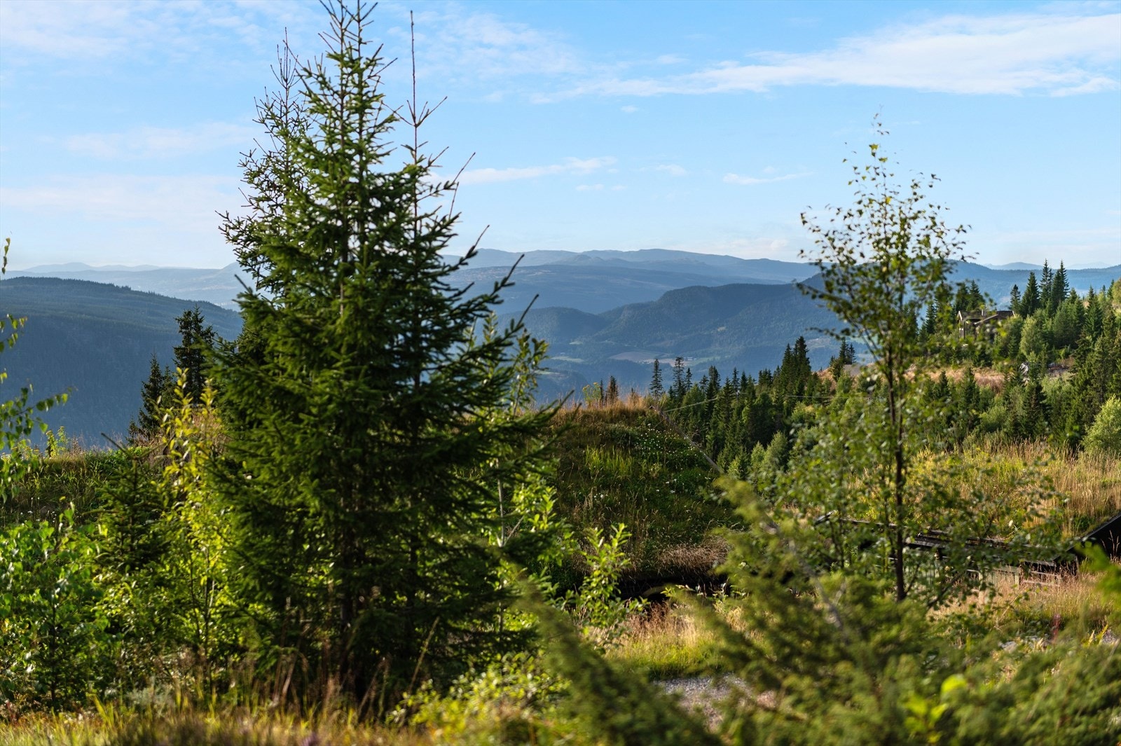Utsikt mot fjellene i det fjerne. Galleribilde