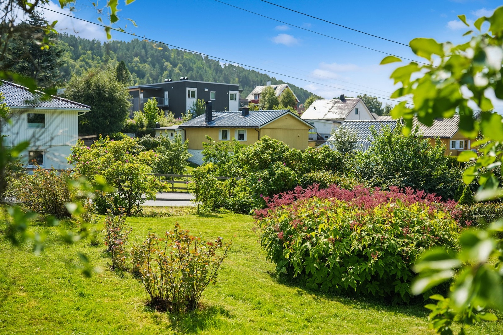 I hagen er det god boltringsplass for både liten og stor. Galleribilde