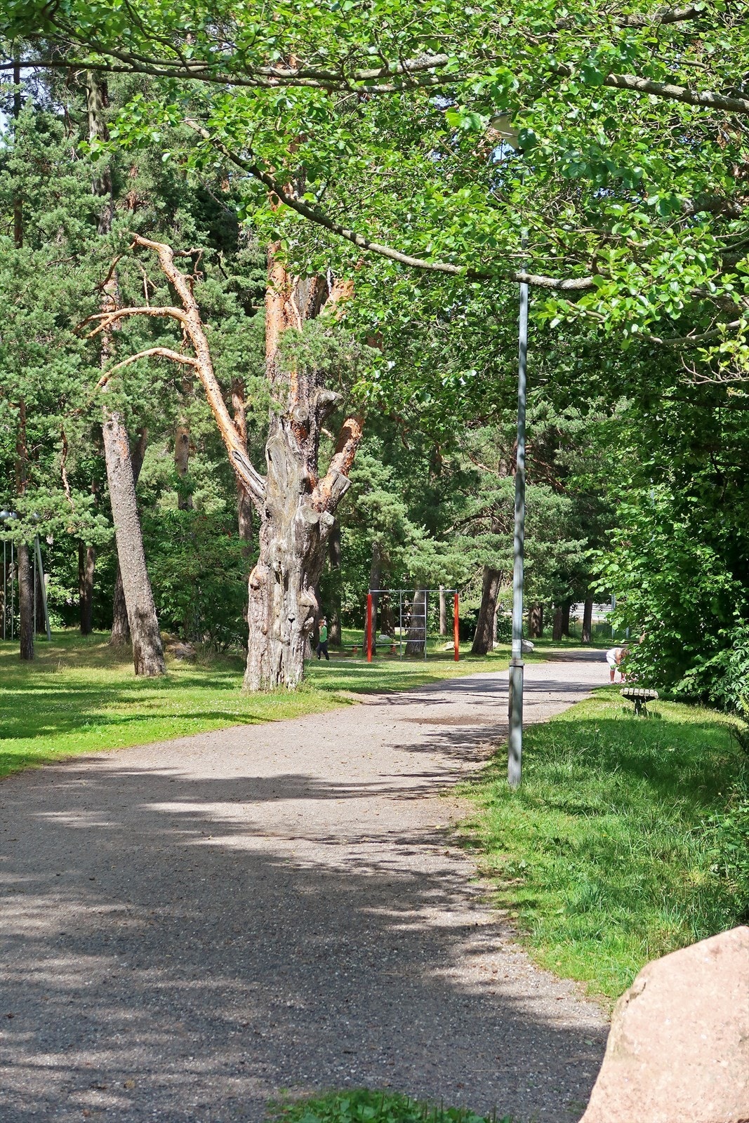 Flotte turområder Galleribilde