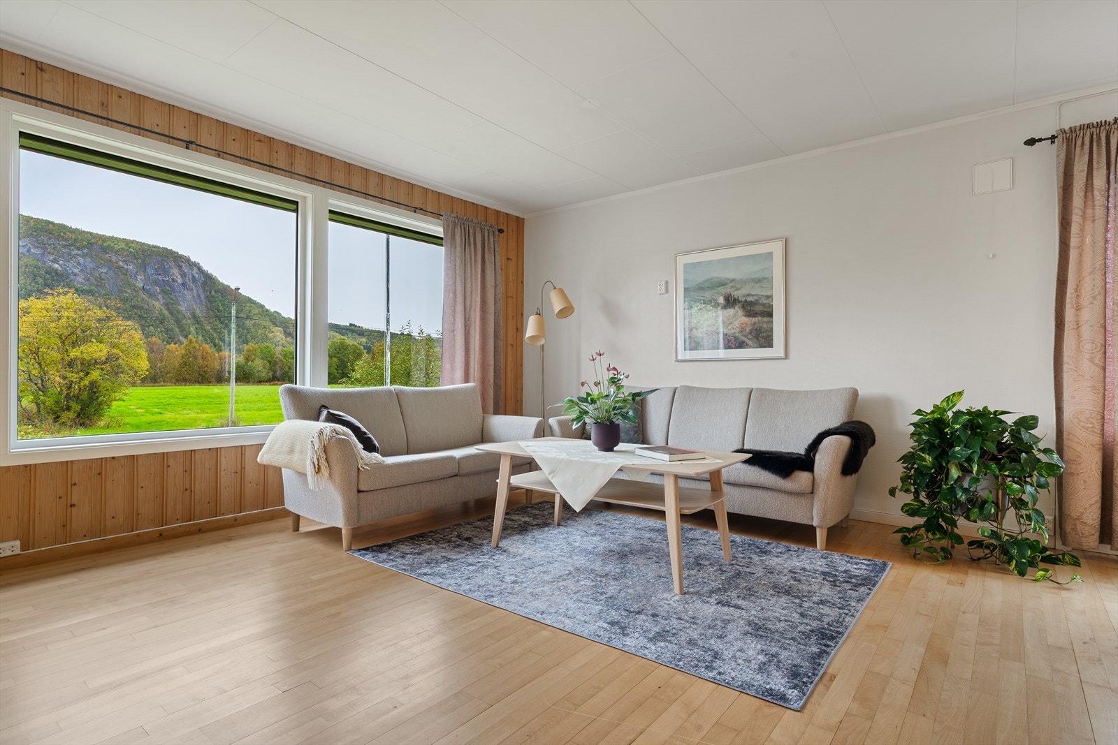 Store vindusflater gir flott utsyn mot nærområdet og fjellet. Galleribilde