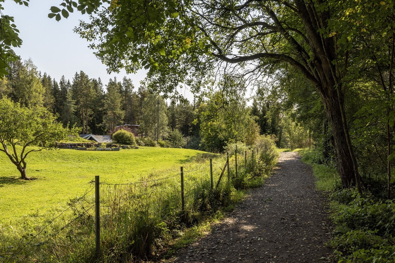 Lillomarkas beliggenhet gjør den svært godt tilgjengelig, og er blitt et sentralt friluftsområde for beboerne fra de nærliggende områder rundt hele marka Galleribilde