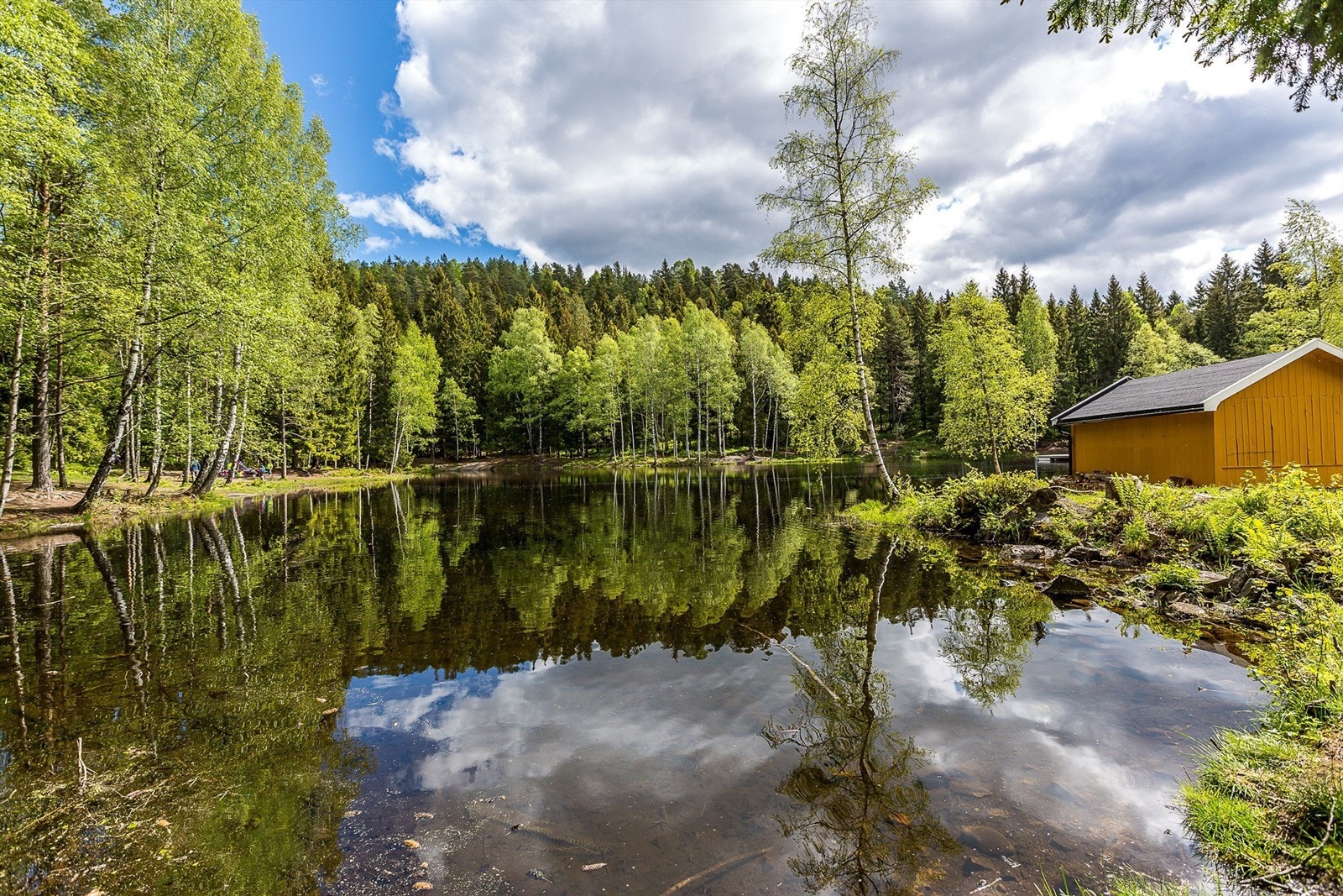 Isdammen - Isdammen har blitt et nært og barnevennlig turmål. Ved dammen kan man raste, bade, fiske eller ta turen videre inn i marka Galleribilde