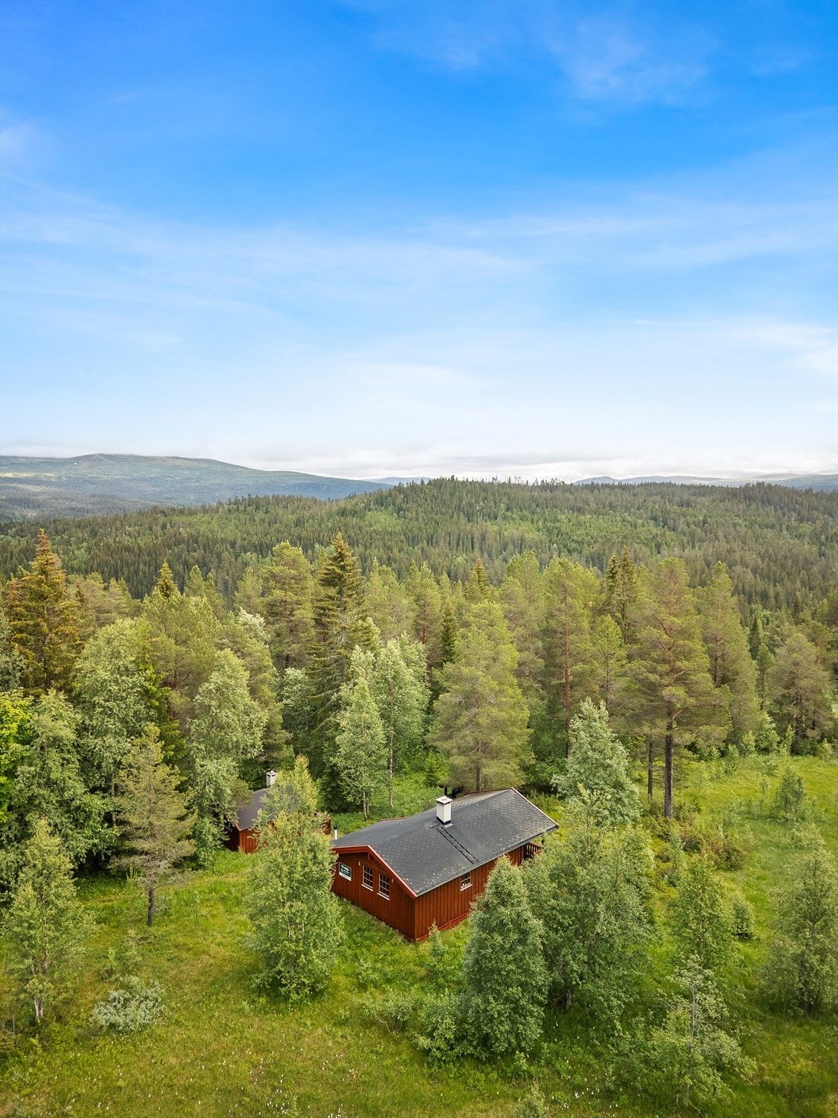 Velkommen til en hyggelig visning! Galleribilde