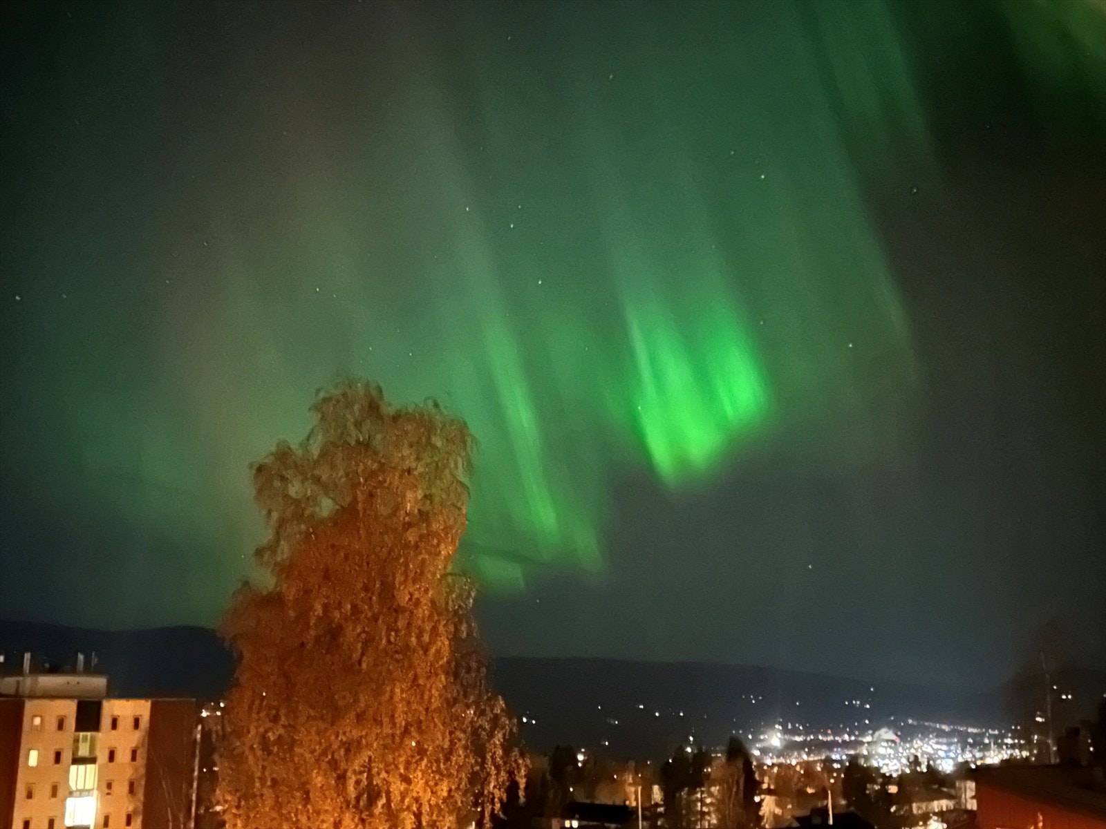 Selgers eget foto Galleribilde