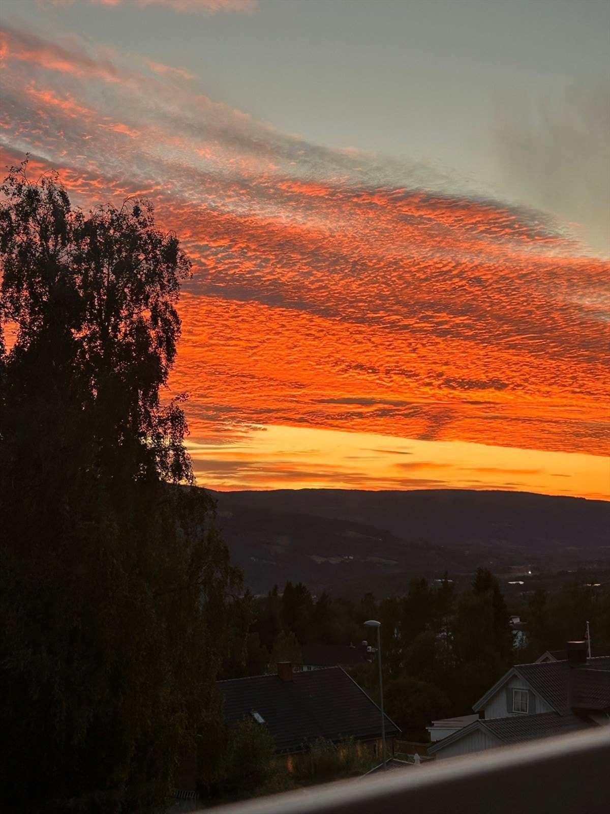 Selgers eget foto Galleribilde