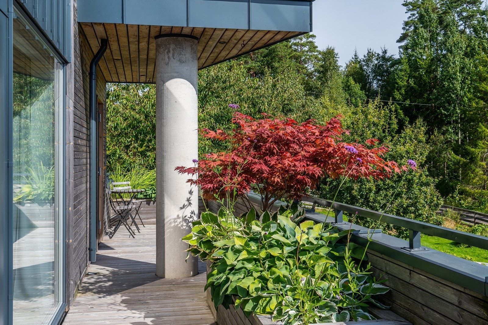 Pen beplantning i plantekasser på terrassen Galleribilde