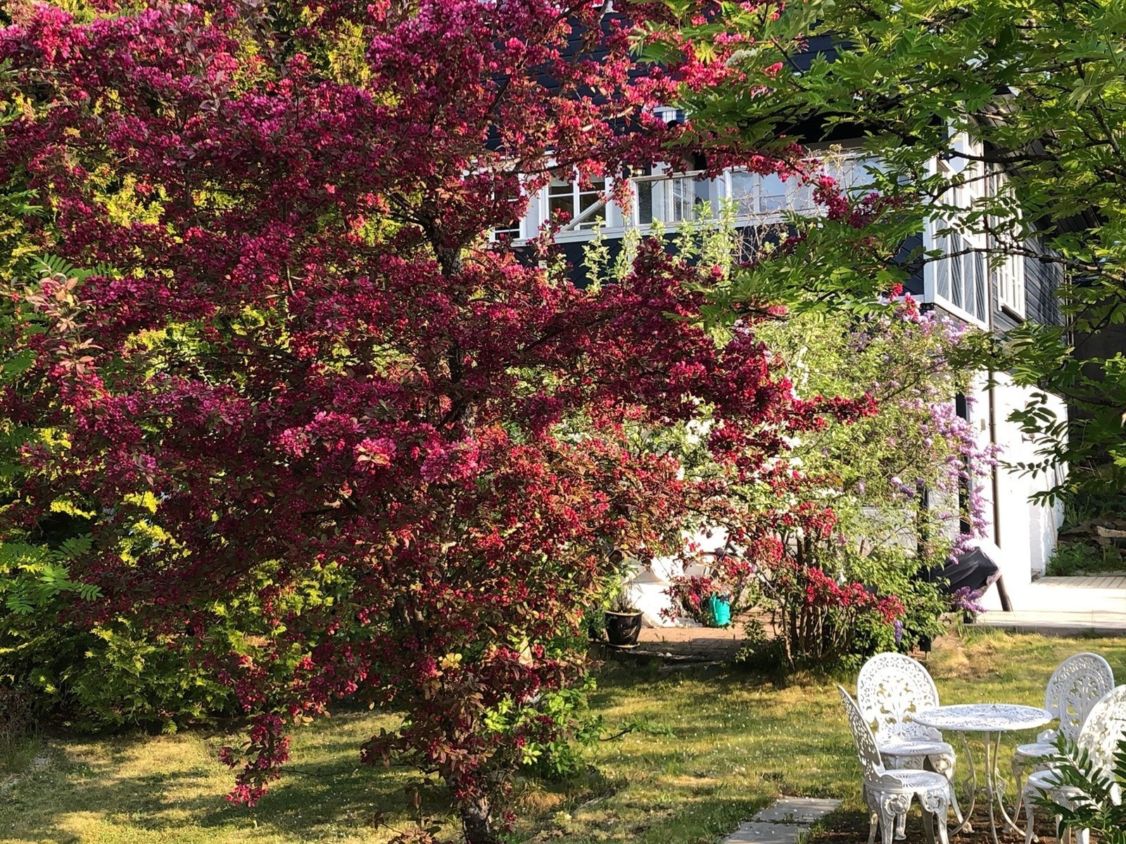 Hagen er usjenert, og omgitt av beplantning, busker og trær. Galleribilde