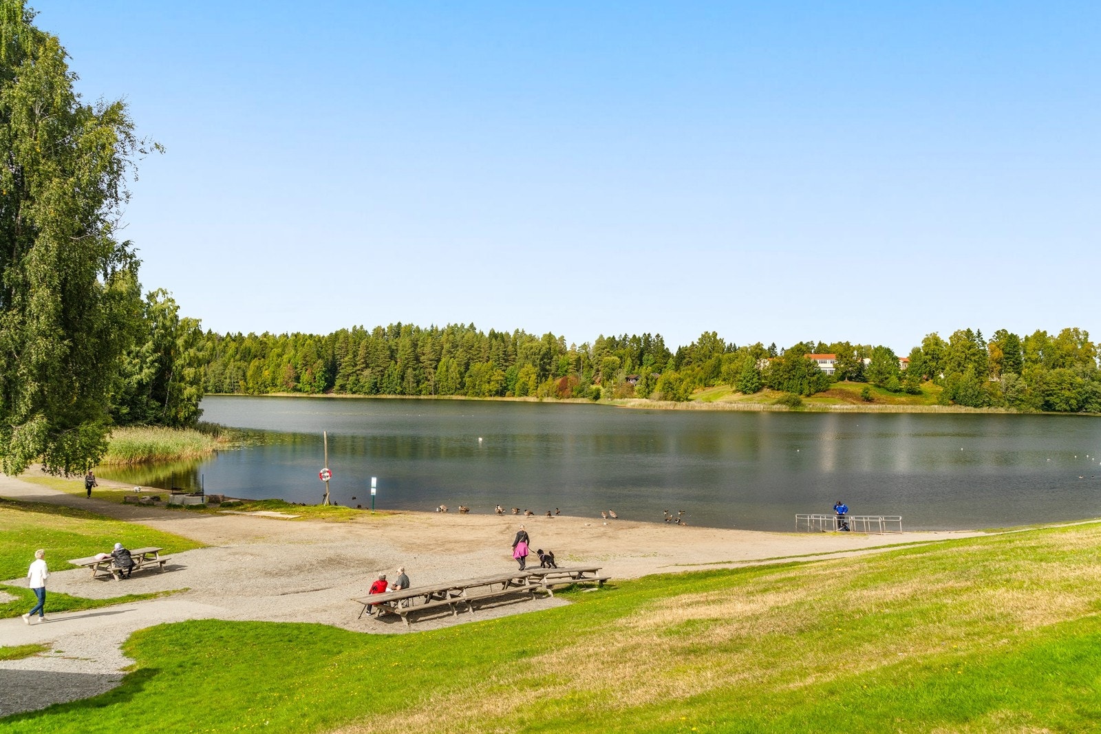 Tjernet er en naturperle som trekker mange mennesker på fine sommerdager Galleribilde