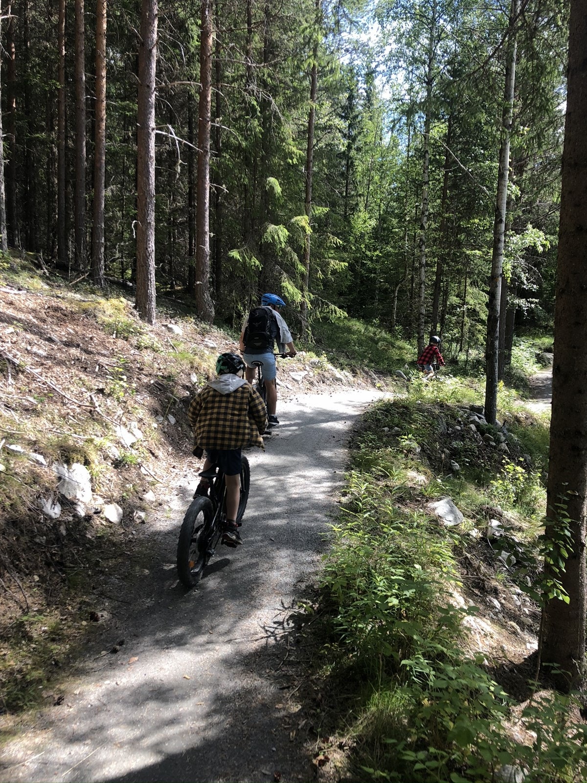 Selgers private foto (Hallingspranget sykkelløype - en av Nord-Europas lengste sykkelstier på 17 km). Galleribilde