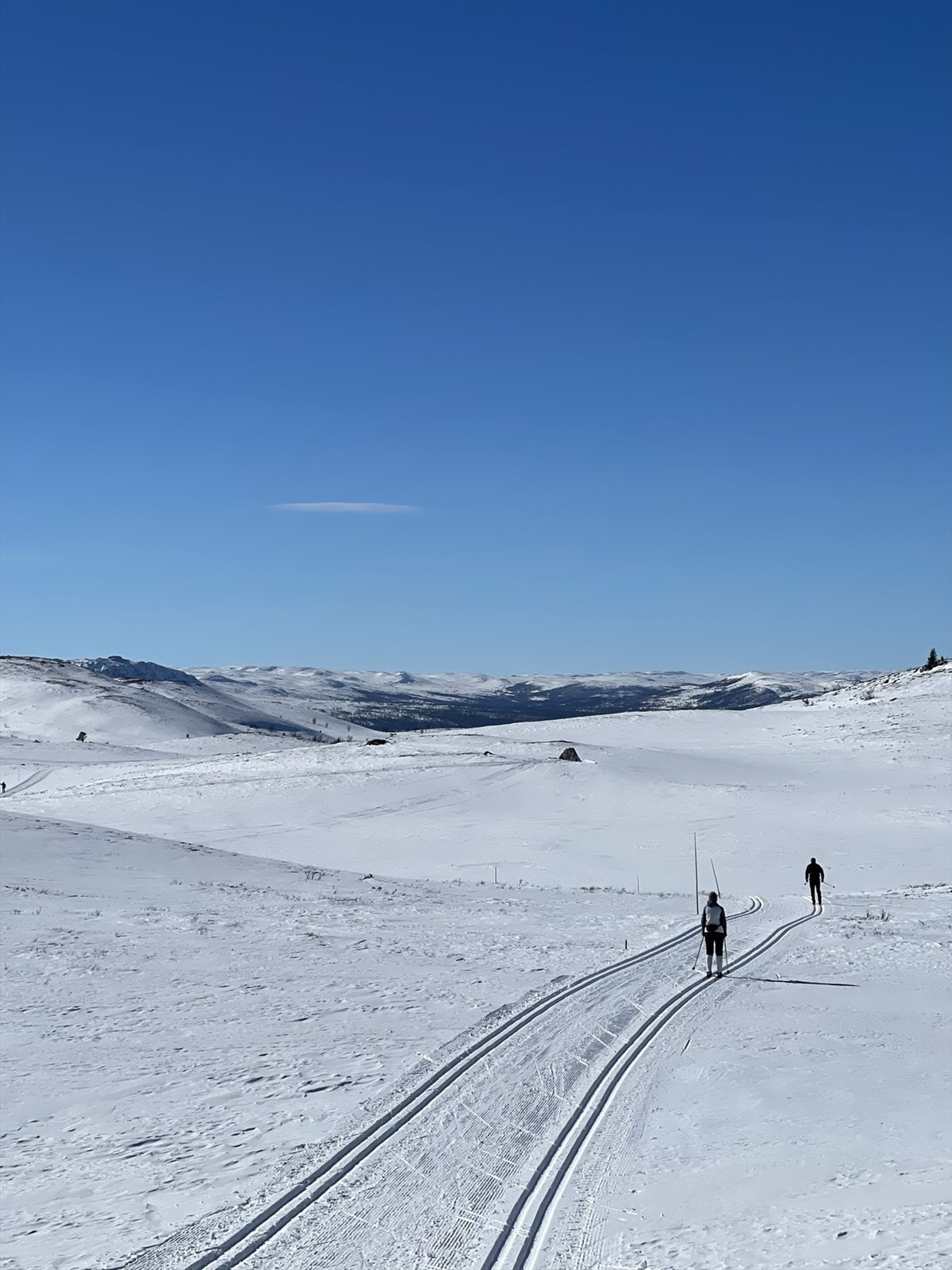 Selgers private foto (snaufjellet ca. 7 km fra hytta). Galleribilde