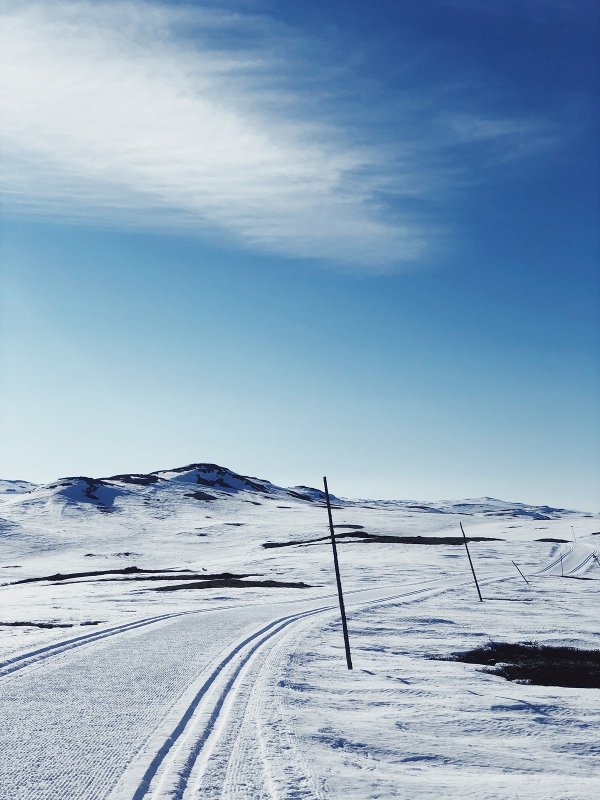 Selgers private foto (snaufjellet). Galleribilde