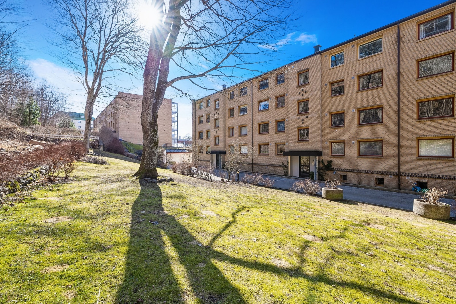 Slik ser det ut på baksiden av blokka, som er vendt inn mot et skogsområde. Galleribilde