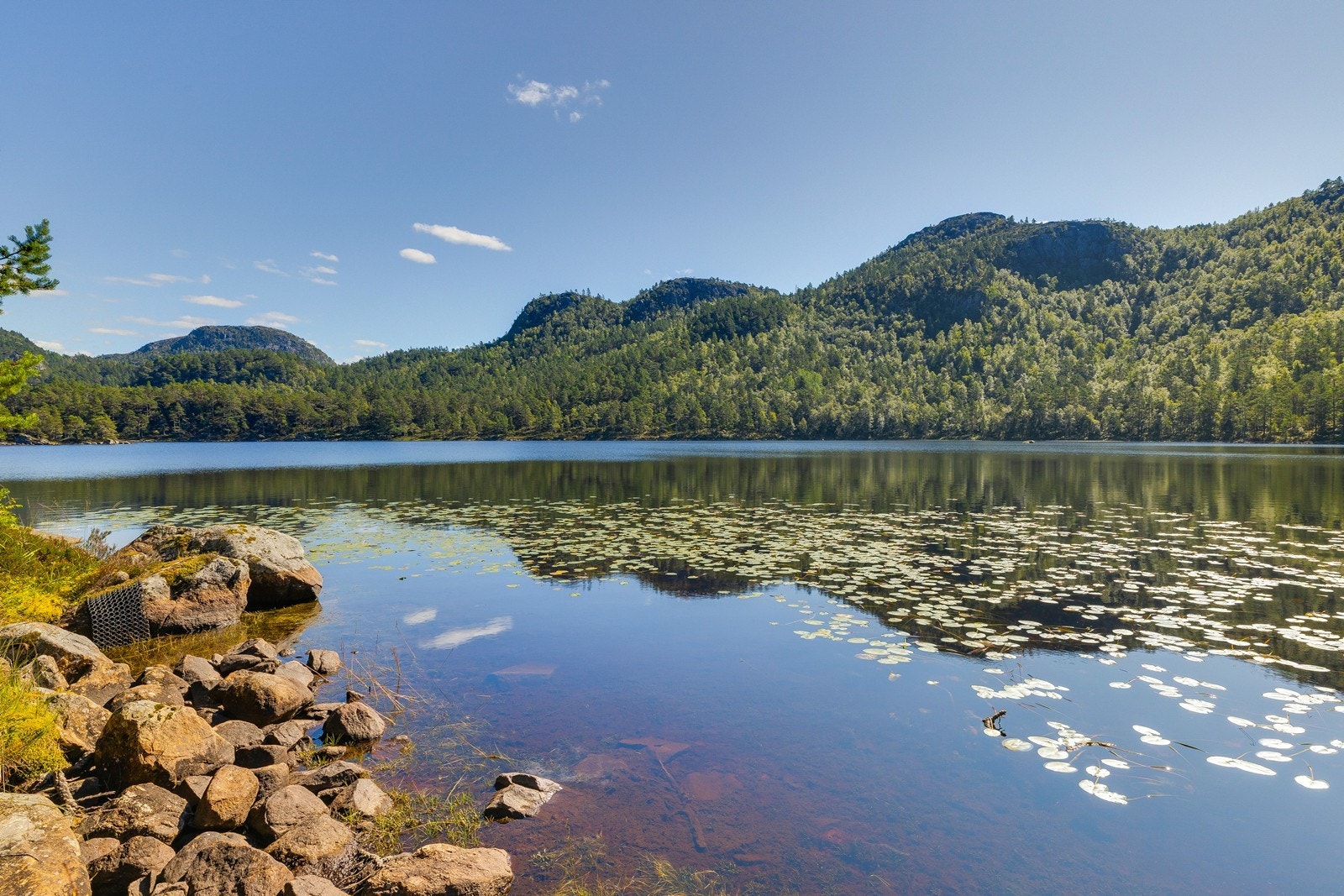 Vannet ligger speilblankt mellom skogkledde åser og danner et vakkert landskapsbilde året rundt. Galleribilde