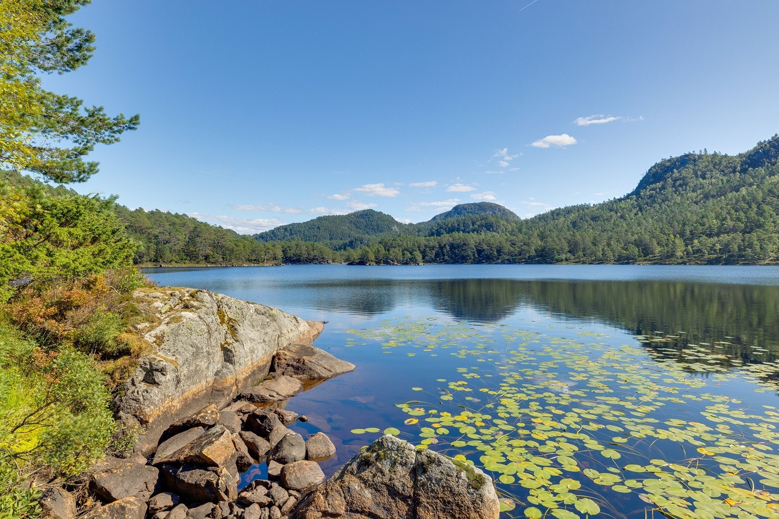Eiendommen har en langstrakt grense mot vannet med gode muligheter for fiske og bading. Galleribilde