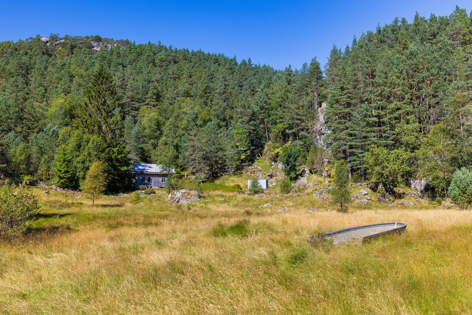 Eiendommen består av en del skog og det er registrert et areal på 57,9 dekar produktiv skog. Galleribilde