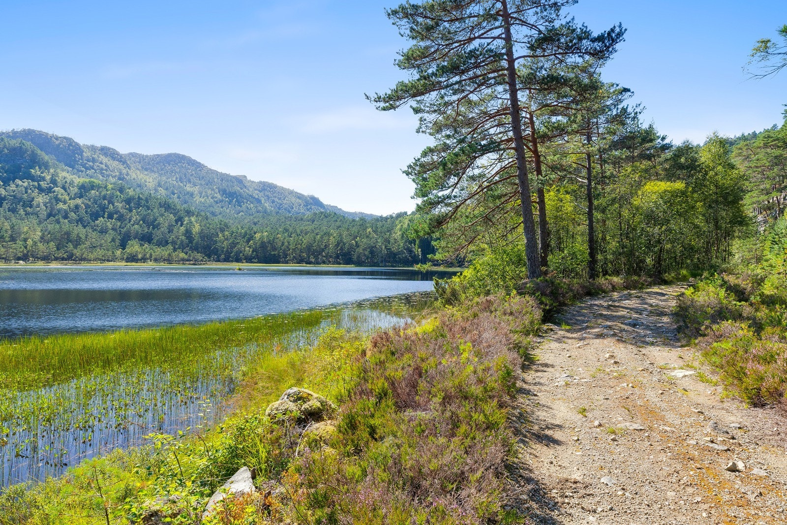 Det er virkelig dylliske omgivelser langs veien opp til Hetleli. Dersom man velger å gå helt opp fra Årdal er det ca 1times gange. Galleribilde