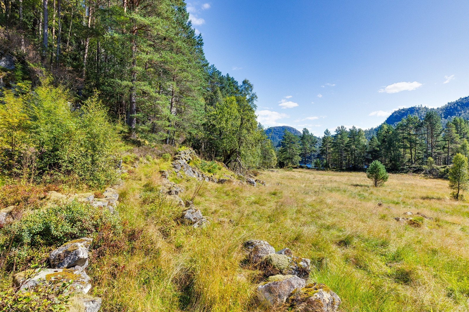 Eiendommen har mange muligheter for bruk og den innbyr til ro og rekreasjon. Galleribilde