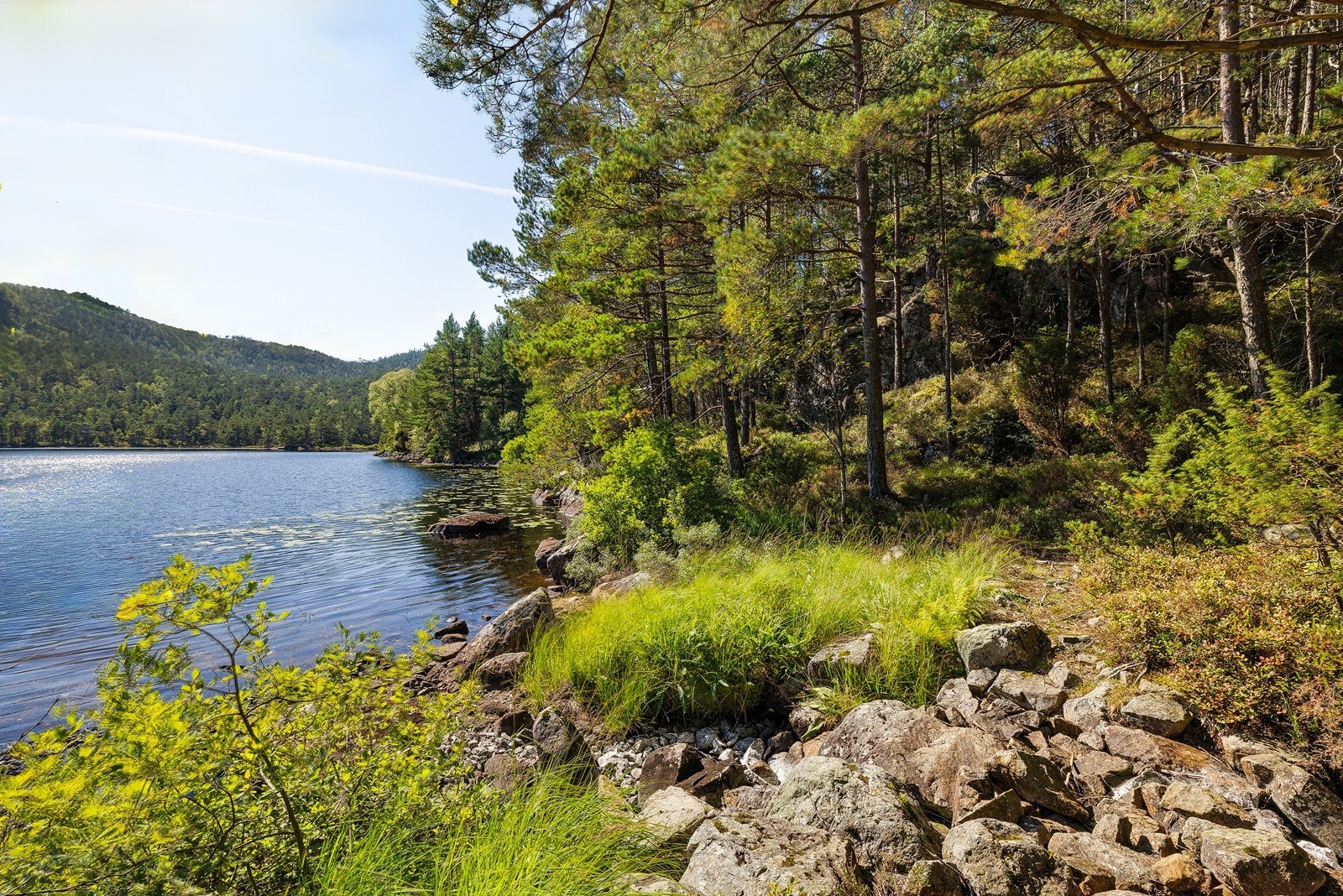 Her starter eiendommens grense basert på de nye arealene fra jordskifteretten. Galleribilde