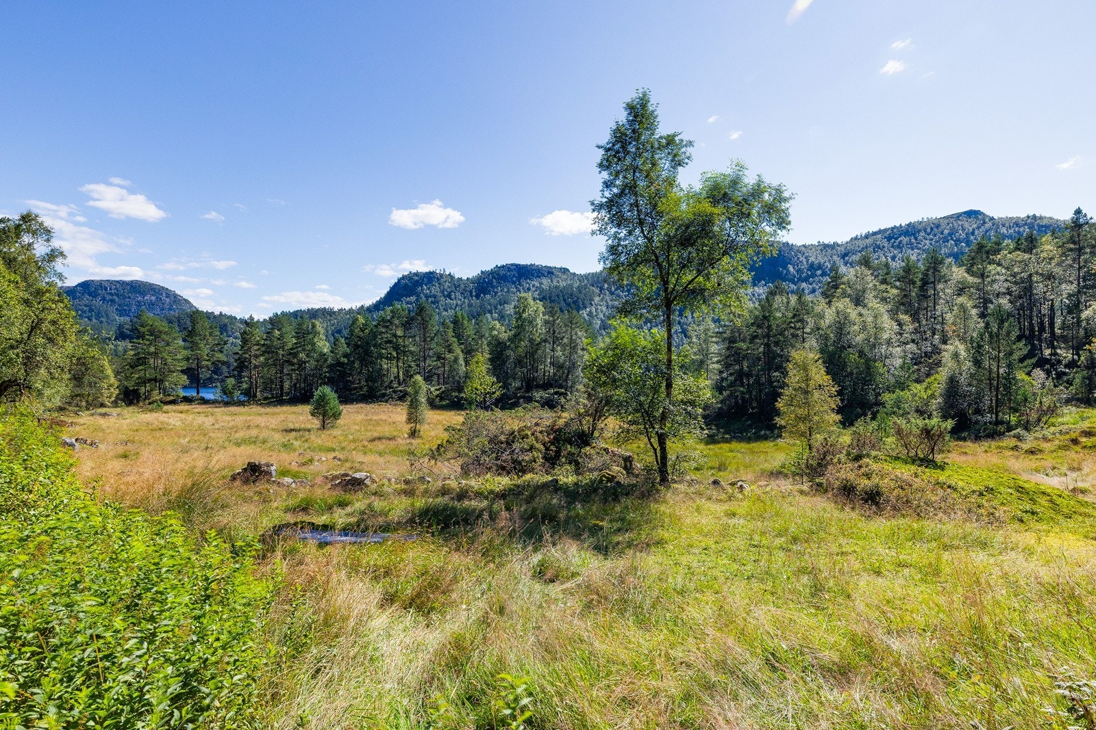 Eiendommen ligger i et landbruksområde og alle tiltak på eiendommen må søkes dispensasjon. Galleribilde