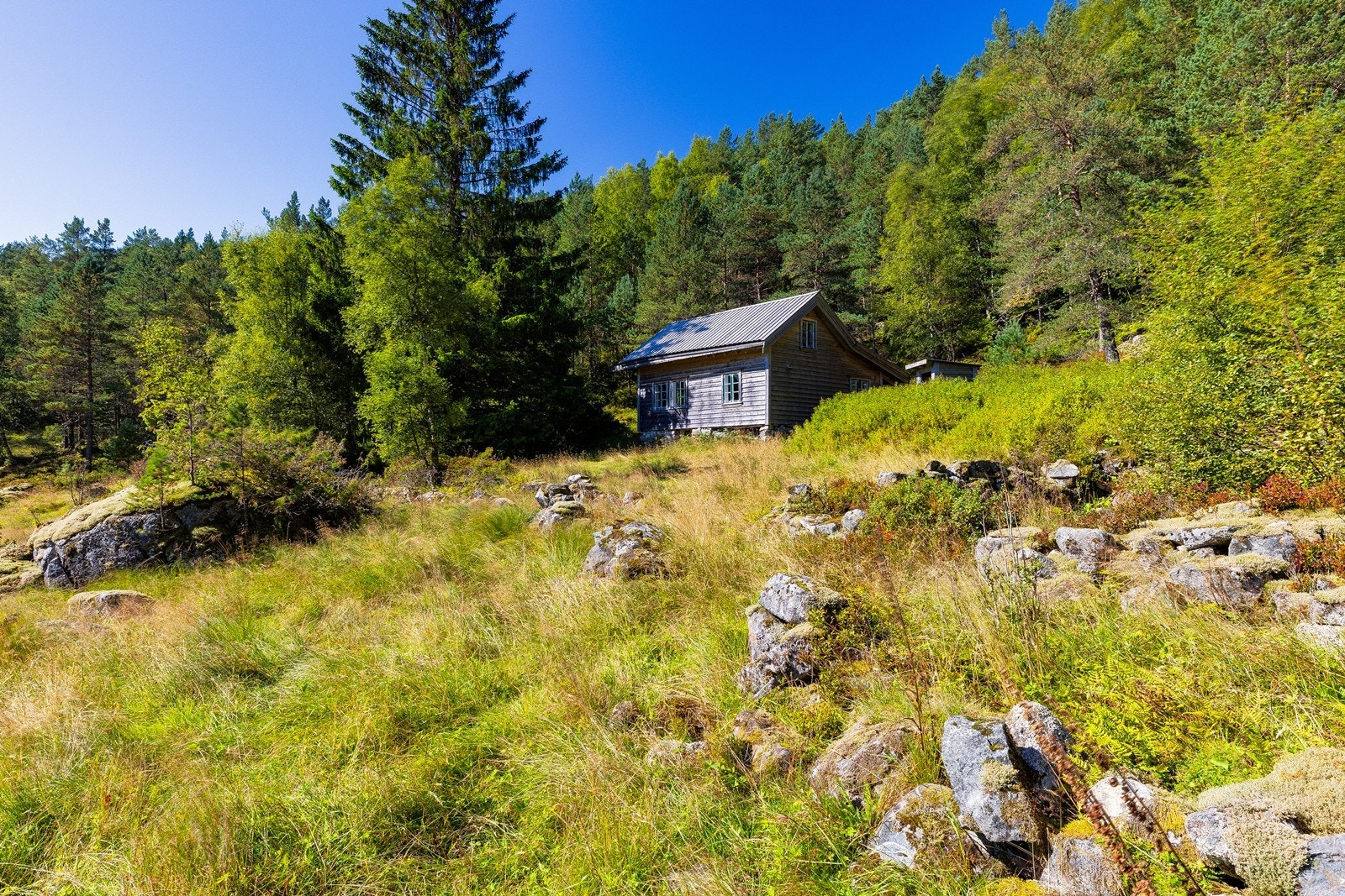 Eiendommen ligger idyllisk til på en naturtomt omgitt av skog, fjellterreng og vakre naturomgivelser med lang eiendomsgrenset mot Djubavatnet. Galleribilde