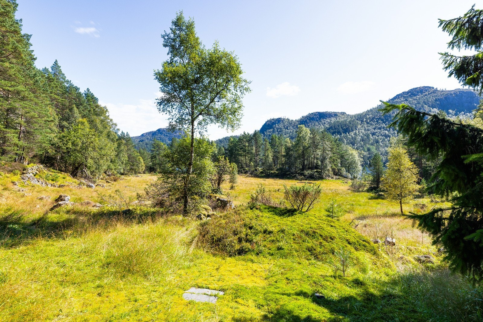 Naturtomten byr på gode utearealer med vakker vegetasjon og flotte omgivelser året rundt. Galleribilde